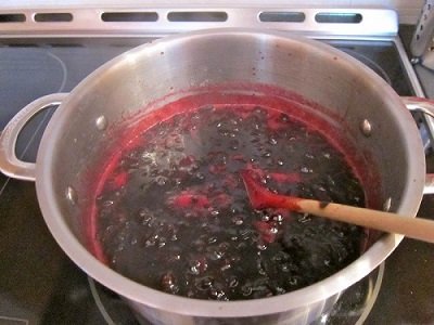 Настоянки з чорної смородини: на самогоні, горілки і спирту в домашніх умовах