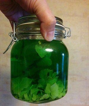 Настоянки на самогоні в домашніх умовах: 17 рецептів з відео