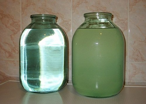 Очищення самогону активованим вугіллям в таблетках з аптеки: пропорції і покрокова інструкція Очищення самогону активованим вугіллям в таблетках з аптеки: пропорції і покрокова інструкція