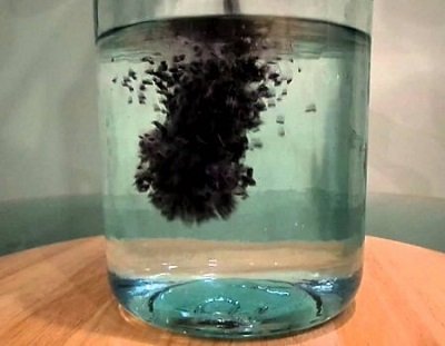 Очищення самогону активованим вугіллям в таблетках з аптеки: пропорції і покрокова інструкція Очищення самогону активованим вугіллям в таблетках з аптеки: пропорції і покрокова інструкція