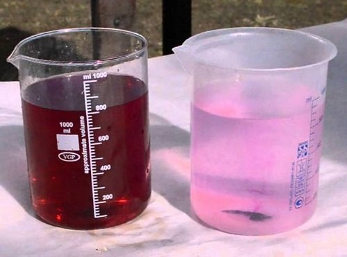 Очищення самогону марганцівкою: інструкція, користь і шкоду способу Очищення самогону марганцівкою: інструкція, користь і шкоду способу