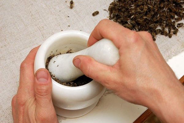 Бджолиний підмор: лікувальні властивості, користь і шкоду для чоловіків і жінок, сфери застосування, рецепти настоянки на спирту, горілки, самогон та відгуки про продукт