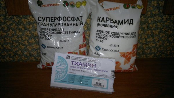 Підгодівля для браги: кращі способи прискорити дію дріжджів в цукровій бразі