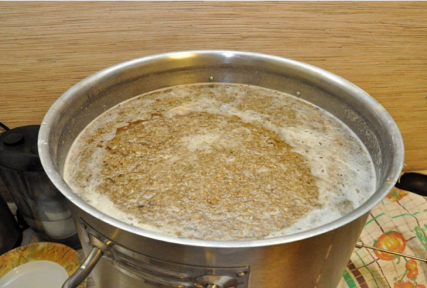 Підгодівля для браги: кращі способи прискорити дію дріжджів в цукровій бразі