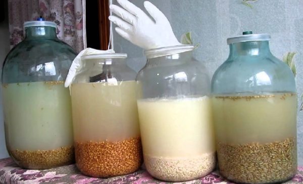 Полугар: що це за напій і як приготувати хлібне вино в домашніх умовах, використовуючи традиційний рецепт, правила вживання солодового дистиляту Полугар: що це за напій і як приготувати хлібне вино в домашніх умовах, використовуючи традиційний рецепт, правила вживання солодового дистиляту