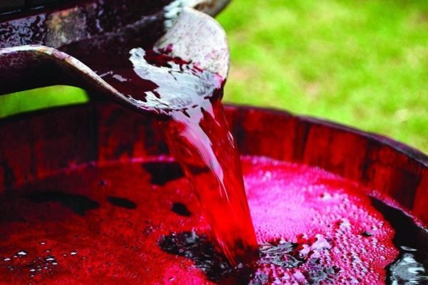 Портвейн: що це таке і як правильно пити португальська напій, визначаємо фортеця оригінального вина під назвою Порто і зясовуємо з чим його пють