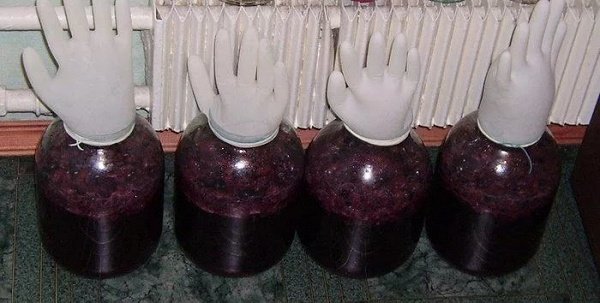 Рецепт чачі з винограду в домашніх умовах   3 простих способи