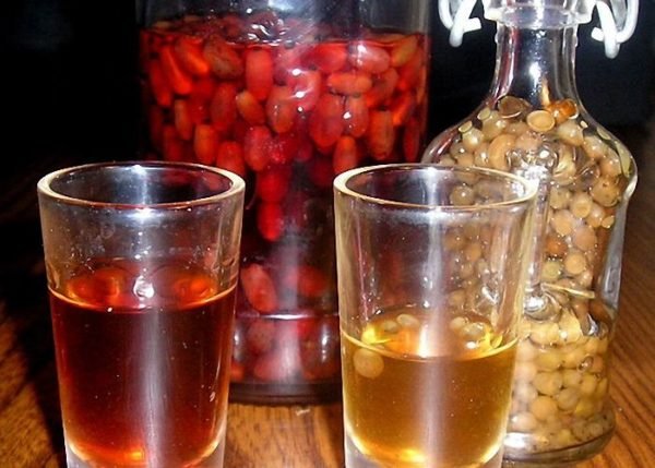 Рецепт настоянки на кедрових горішках: як зробити в домашніх умовах на горілки і спирту, чим корисний напій?