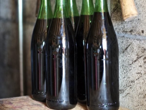 Рецепт вина з Ізабелли в домашніх умовах: покрокова інструкція, як своїми руками приготувати вдома ароматний виноградний напій