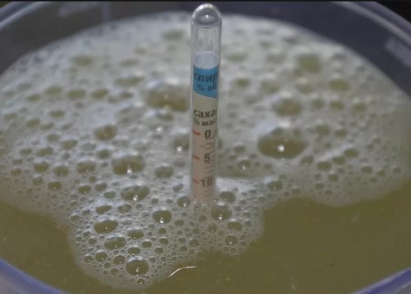 Рецепти браги на березовому соку: приготування в домашніх умовах бражки для самогону, як зробити класичним способом і альтернативними, корисні поради