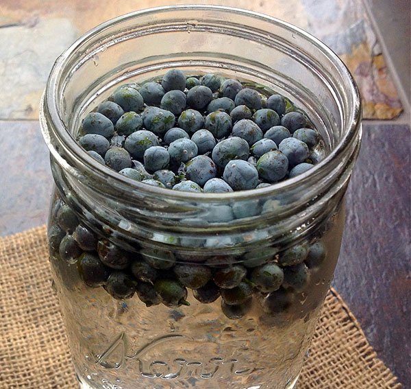 Рецепти джина в домашніх умовах: як зробити з самогону, з чим потрібно пити, коктейлі на основі цього міцного алкогольного напою