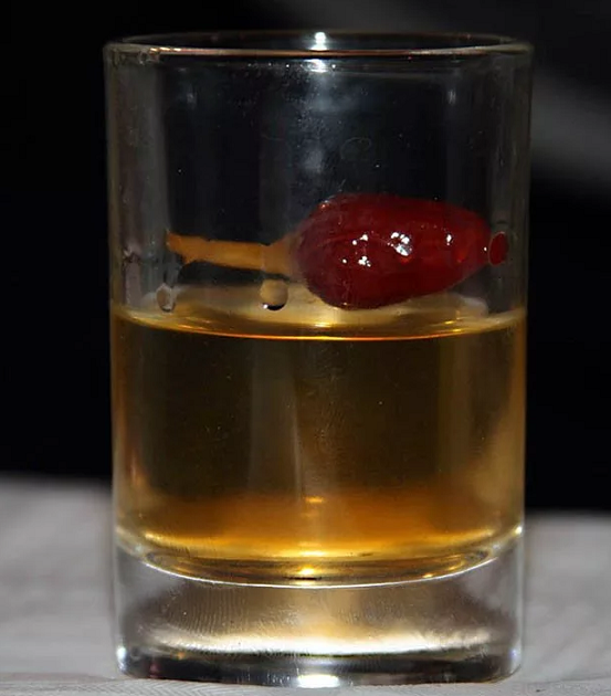 Рецепти перцівки в домашніх умовах: розповімо, як зробити лікувальний алкогольний напій з медом на спирту, горілки і самогоні