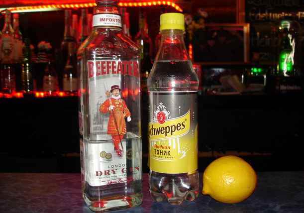 З чим пють джин: як правильно вживати в чистому вигляді, чим розбавляти і закушувати міцний алкогольний напій