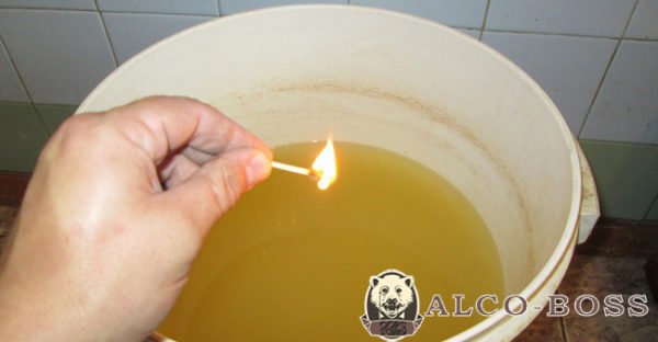 Самогон з яблук в домашніх умовах: простий рецепт приготування покроково без дріжджів Самогон з яблук в домашніх умовах: простий рецепт приготування покроково без дріжджів