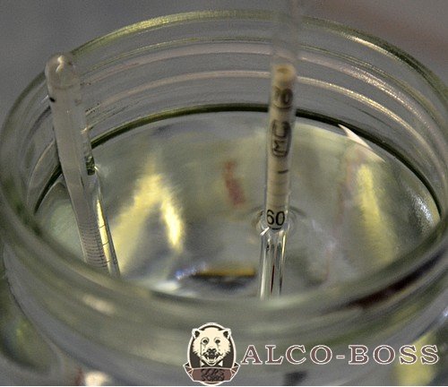 Самогон з яблук в домашніх умовах: простий рецепт приготування покроково без дріжджів Самогон з яблук в домашніх умовах: простий рецепт приготування покроково без дріжджів