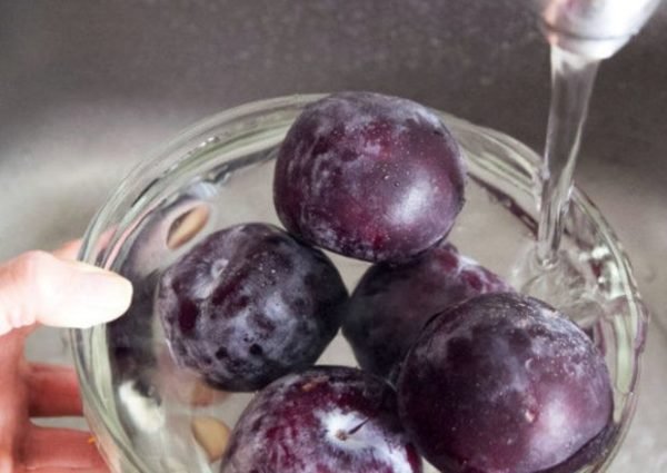 Сливова настоянка в домашніх умовах: простий рецепт приготування з горілки і спирту Сливова настоянка в домашніх умовах: простий рецепт приготування з горілки і спирту