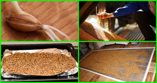 Солод для самогонки: який варто купувати в магазині і як зробити в домашніх умовах, простий рецепт браги Солод для самогонки: який варто купувати в магазині і як зробити в домашніх умовах, простий рецепт браги