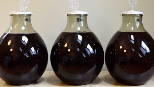 Вино з чорноплідної горобини: прості рецепти приготування алкогольного напою з аронії в домашніх умовах