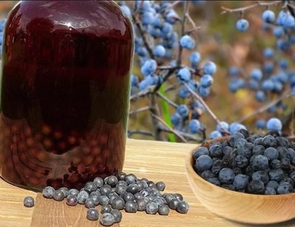Вино з чорноплідної горобини: прості рецепти приготування алкогольного напою з аронії в домашніх умовах