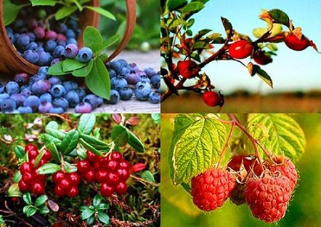 Вино з червоної смородини в домашніх умовах: простий рецепт з фото і відео по кроках