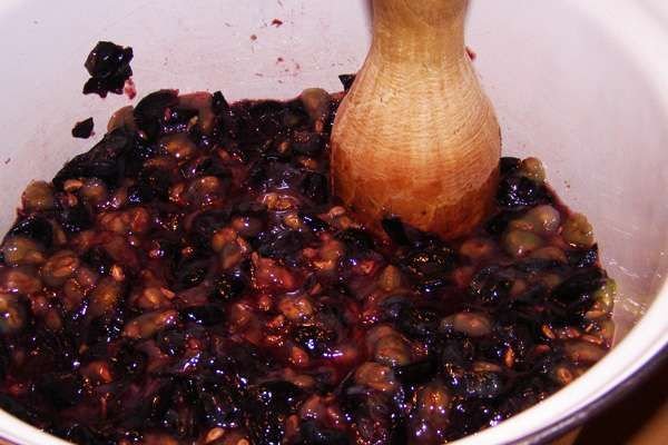 Вино з винограду: простий рецепт приготування в домашніх умовах