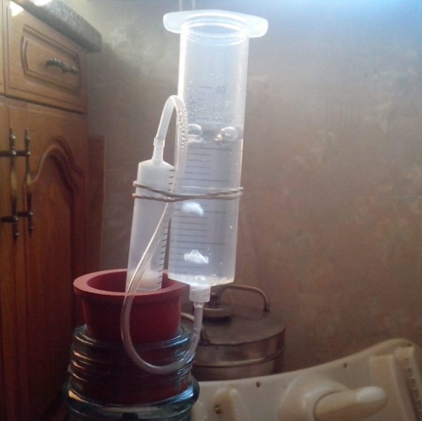 Вино з винограду: простий рецепт приготування в домашніх умовах