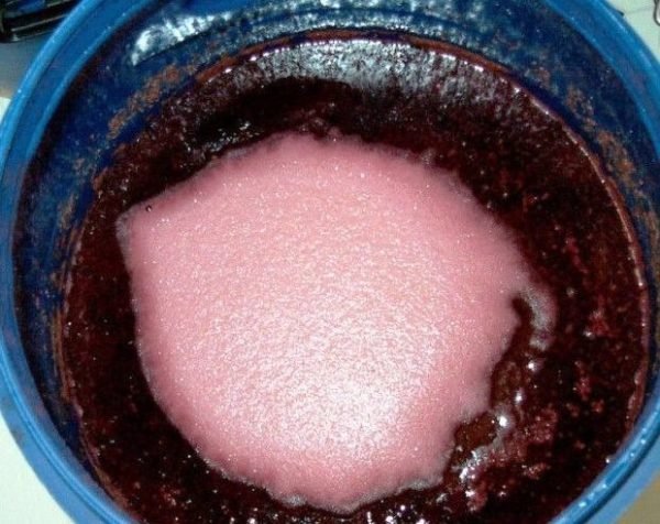 Вино з винограду: простий рецепт приготування в домашніх умовах