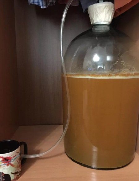 Яблучне вино в домашніх умовах: прості рецепти приготування смачного алкогольного напою з сезонних фруктів