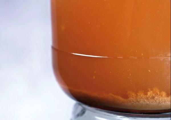 Яблучне вино в домашніх умовах: прості рецепти приготування смачного алкогольного напою з сезонних фруктів