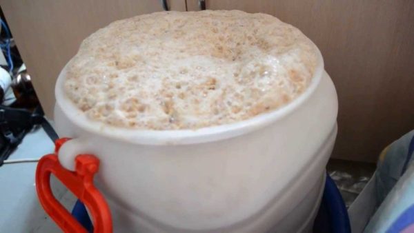 Брага на сухих дріжджах: як правильно вибрати активувати розвести для потрібного обсягу, тонкощі самогоноваріння