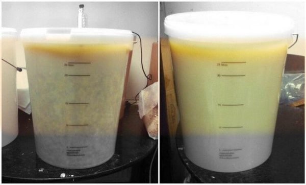 Брага на сухих дріжджах: як правильно вибрати активувати розвести для потрібного обсягу, тонкощі самогоноваріння