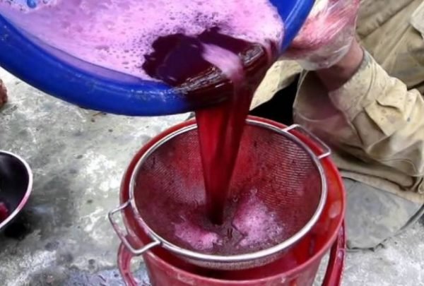 Наливка з винограду: прості рецепти приготування алкогольного напою в домашніх умовах   класичний, слабоалкогольний і швидкий спосіб, з горілкою