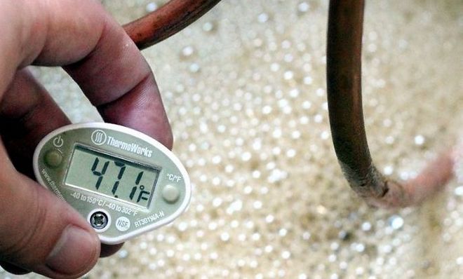 Скільки блукає брага на цукрі і дріжджах (самогону): на спиртових, хлібопекарських, диких і на пшениці