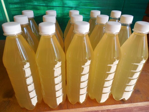 Вино з кульбаб: рецепт приготування напою в домашніх умовах