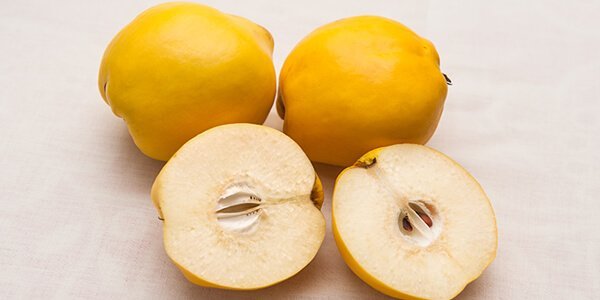 Айва (квитовое яблуко) корисні властивості. Користь і шкода айви для організму жінок і чоловіків