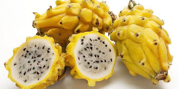Драконий фрукт (пітахайя) корисні властивості, калорійність