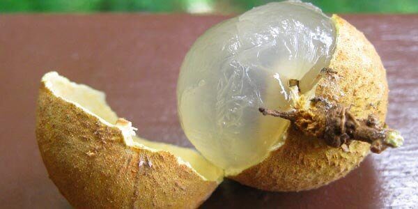 Екзотичний фрукт лонган, калорійність, корисні властивості