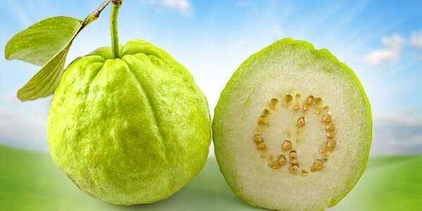 Гуава фрукт корисні властивості, склад і калорійність