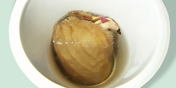 Як посадити і виростити манго з кісточки в домашніх умовах