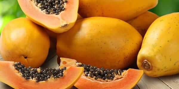 Як виглядає екзотичний фрукт папайя, корисні властивості та шкоду