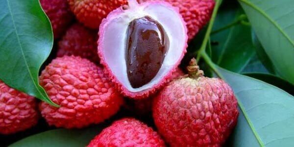 Лічі фрукт, склад, калорійність, корисні властивості