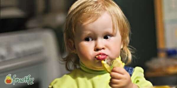 Лимон користь і шкоду для організму, вітаміни і калорійність фрукта