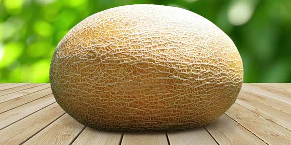 Кращі сорти Дині   опис, фото, характеристика