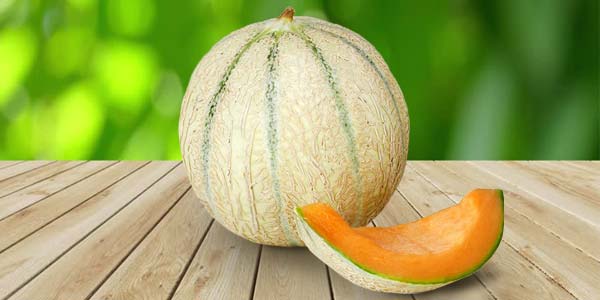 Кращі сорти Дині   опис, фото, характеристика