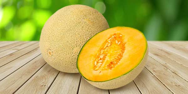 Кращі сорти Дині   опис, фото, характеристика