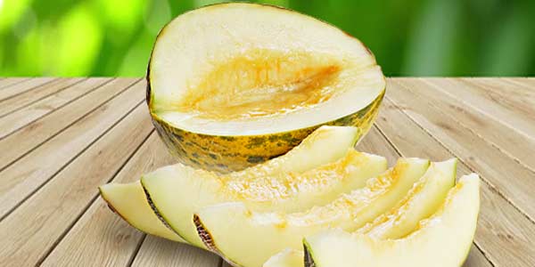 Кращі сорти Дині   опис, фото, характеристика