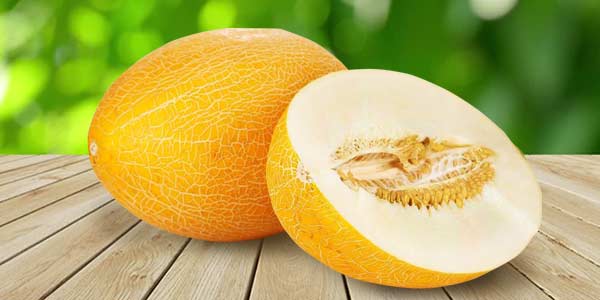 Кращі сорти Дині   опис, фото, характеристика