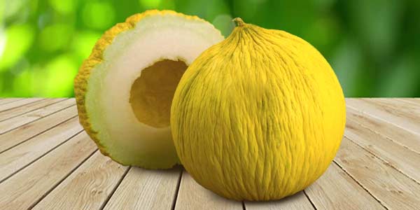 Кращі сорти Дині   опис, фото, характеристика