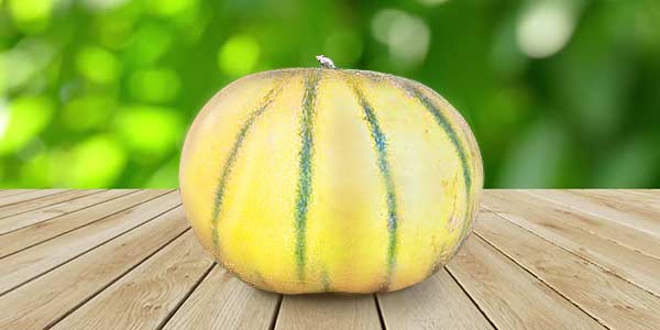 Кращі сорти Дині   опис, фото, характеристика