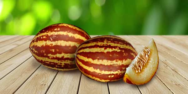 Кращі сорти Дині   опис, фото, характеристика